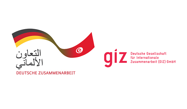logo-GIZ